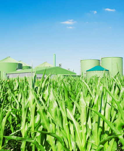 Poultry CBG Plant